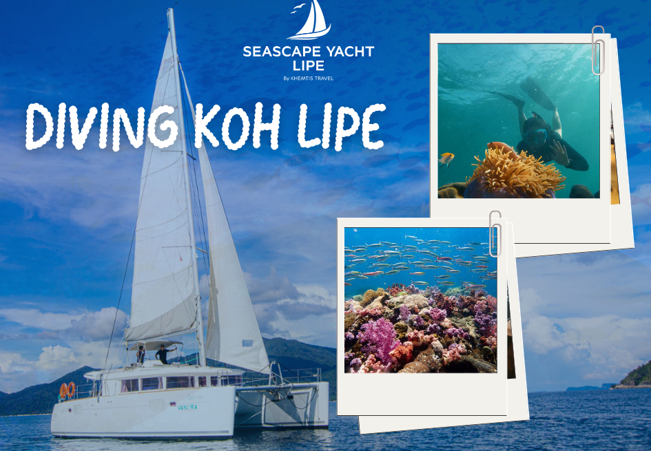 divig koh lipe